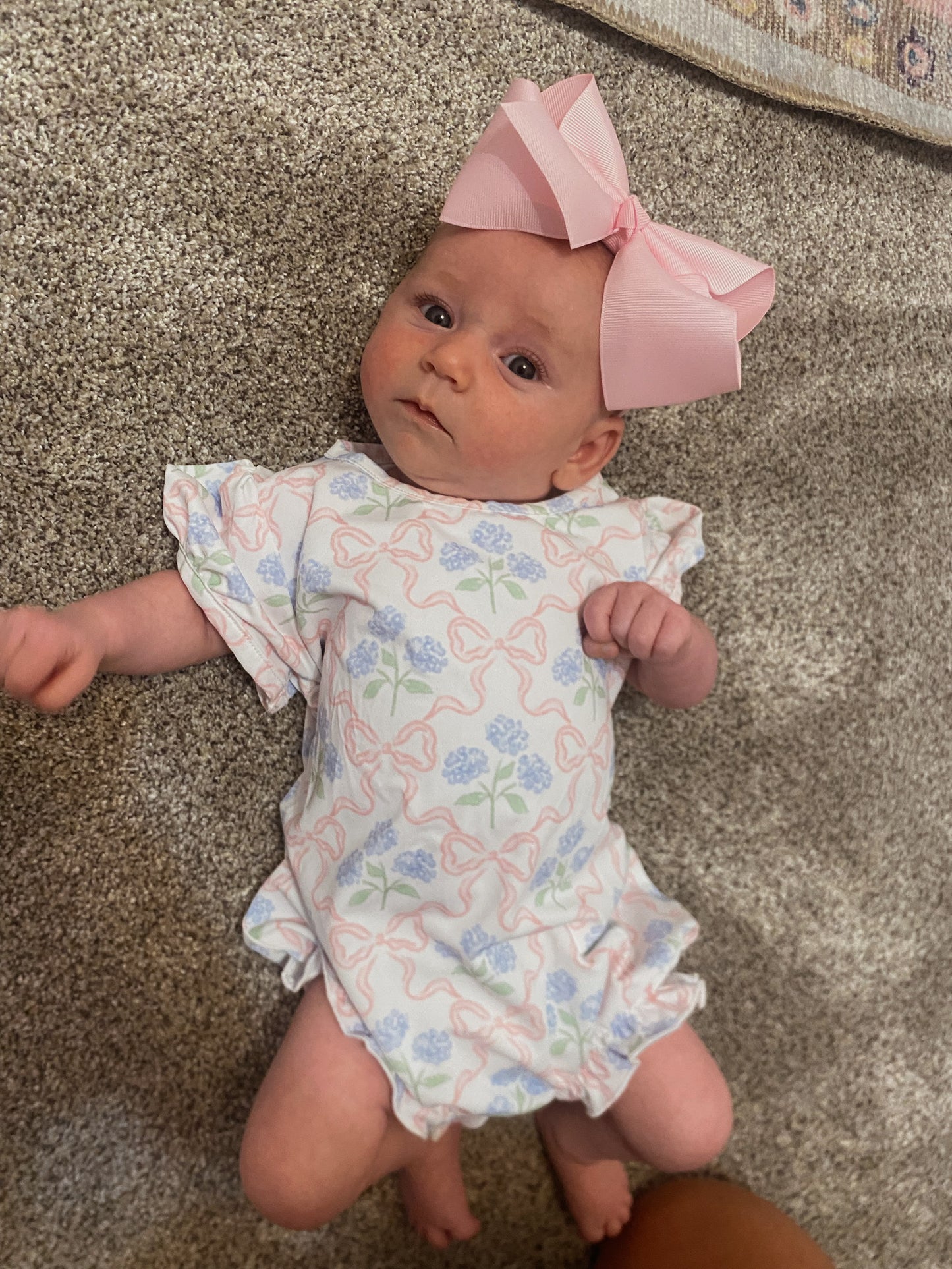 Bows & Hydrangeas Bubble