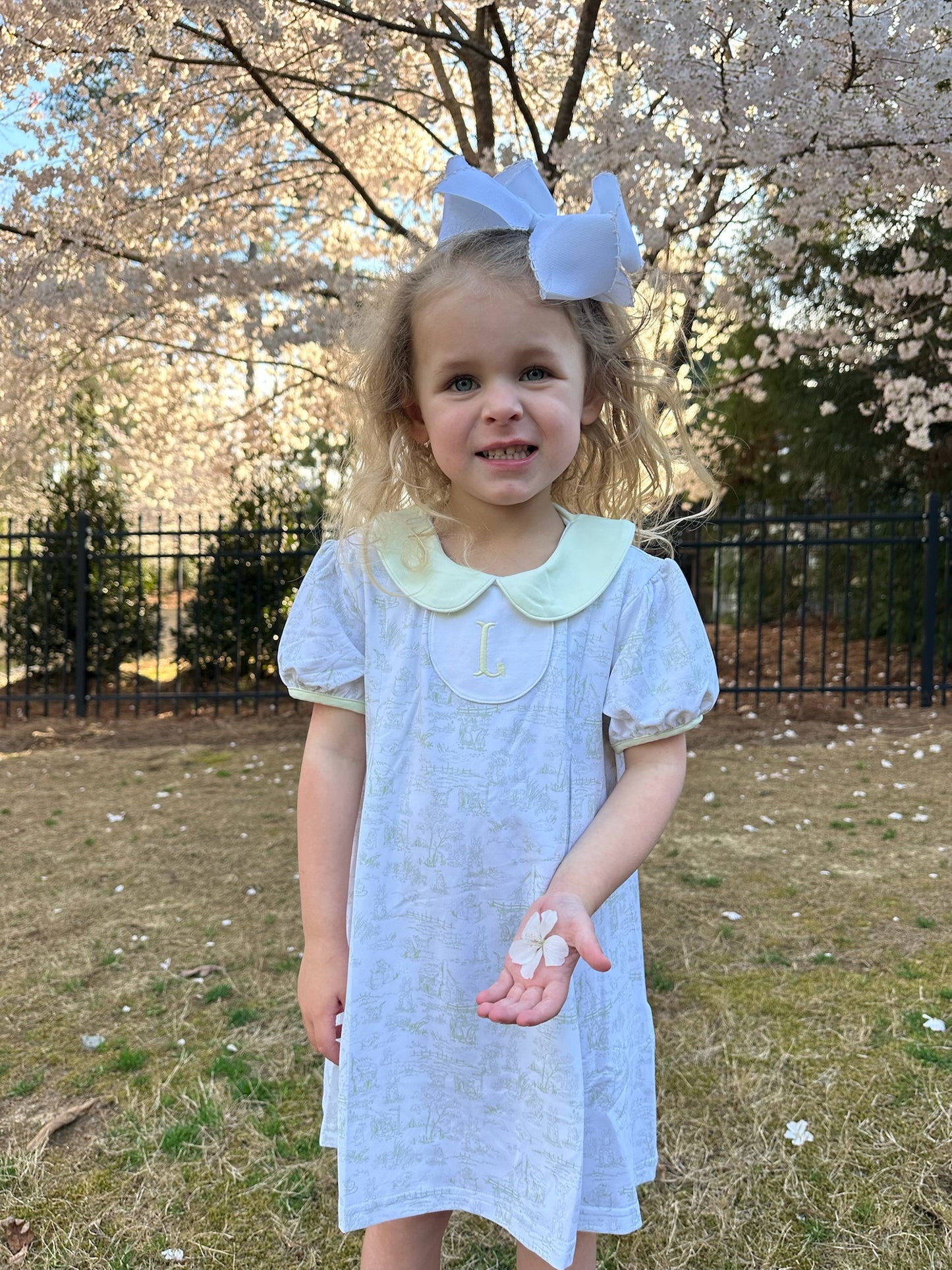 Toile Easter Dress